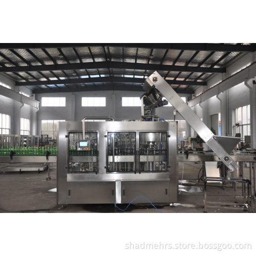 Glass Bottle Filling Machine (DCGF24-24-8B)